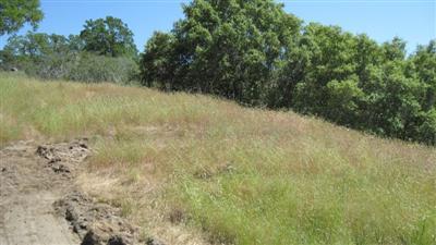 0 Burrough North Road Tollhouse, CA 93667 - Photo 12 of 16 Gallery Image 12
