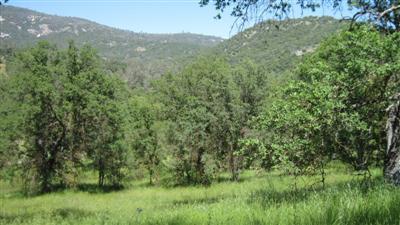 0 Burrough North Road Tollhouse, CA 93667 - Photo 14 of 16 Gallery Image 14