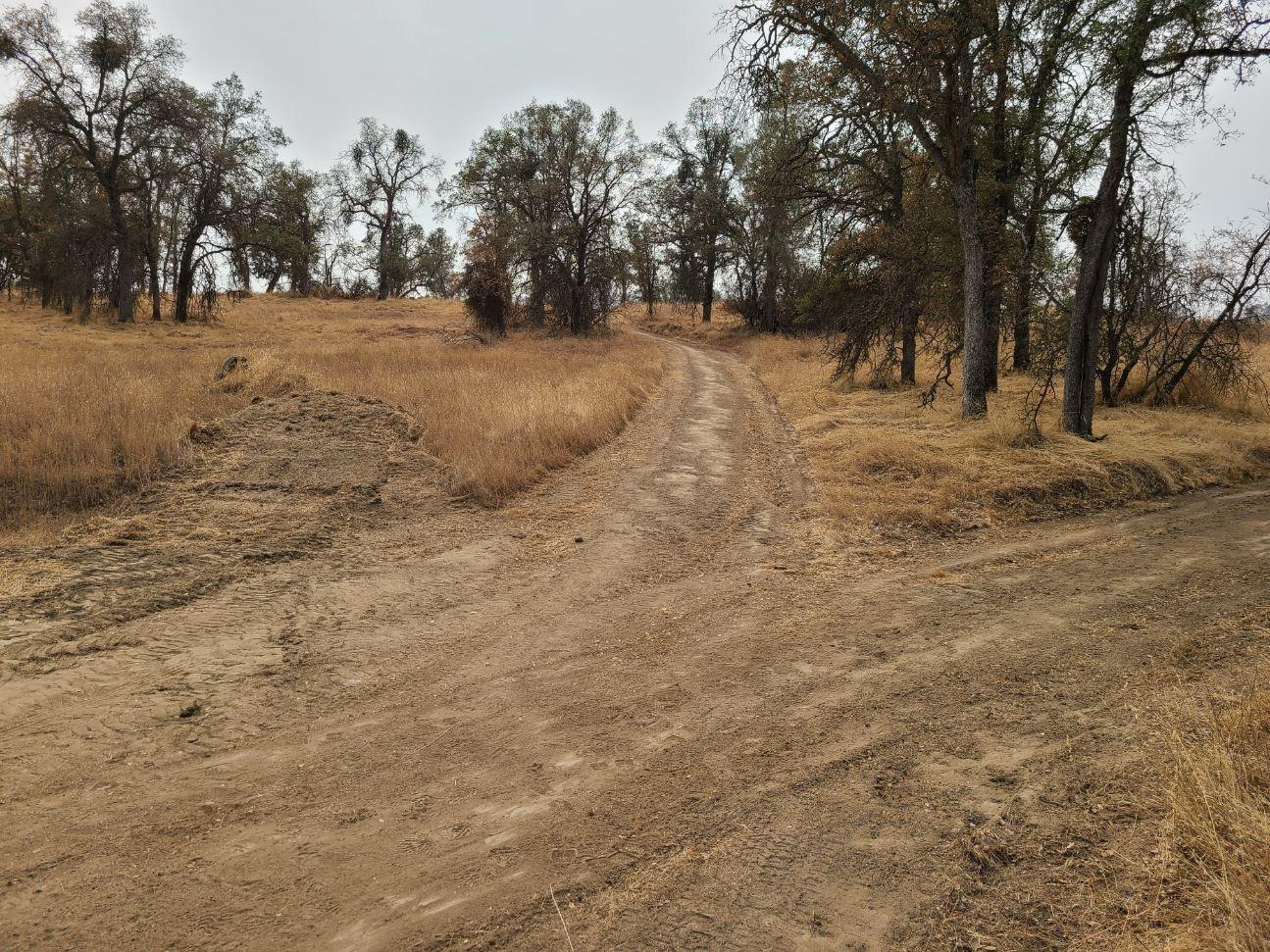0 Burrough North Road Tollhouse, CA 93667 - Photo 16 of 16 Gallery Image 16
