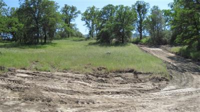 0 Burrough North Road Tollhouse, CA 93667 - Photo 10 of 16 Gallery Image 10
