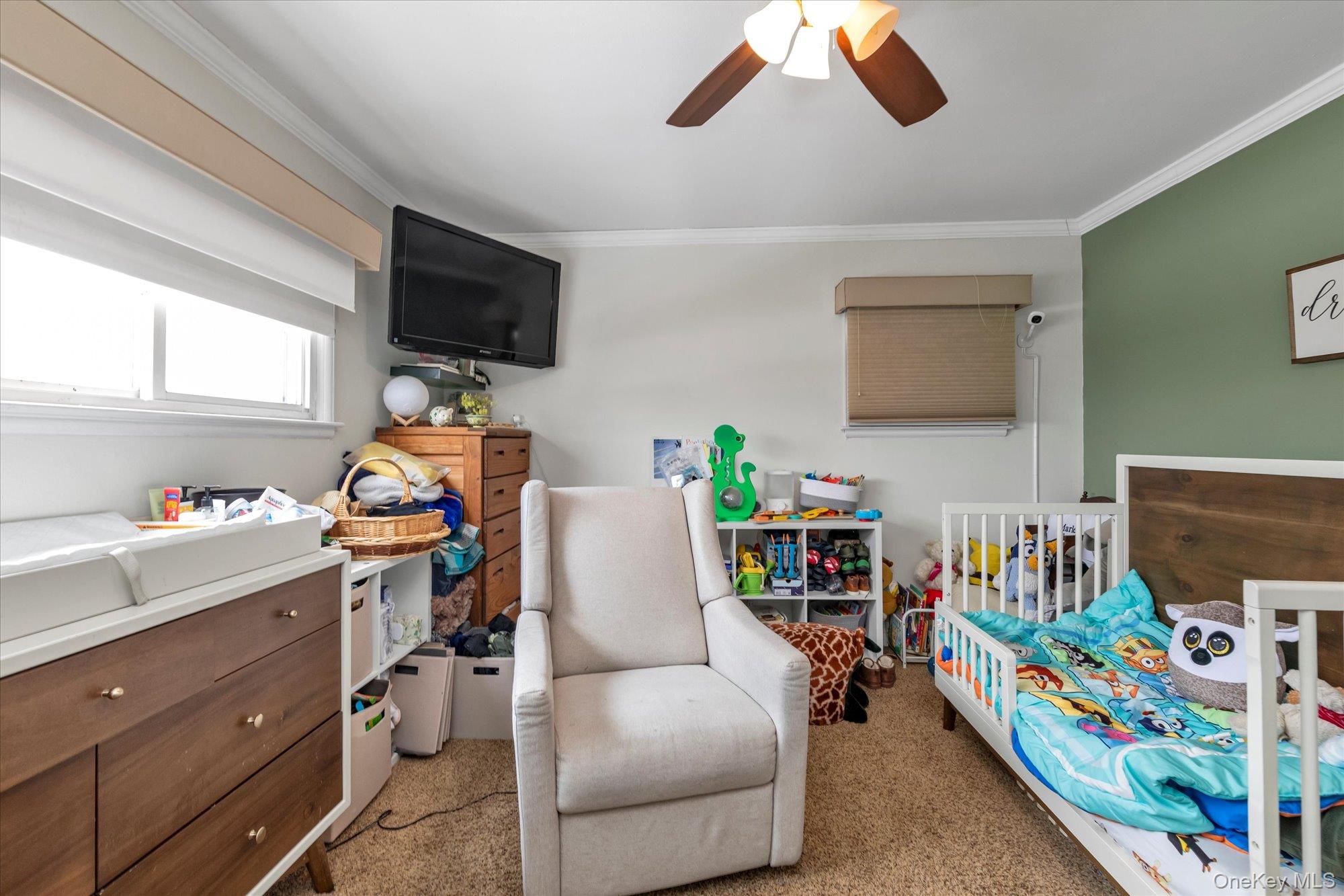 16 Layton Street Freeport, NY 11520 - Photo 10 of 17 a children room with toys and a flat screen tv