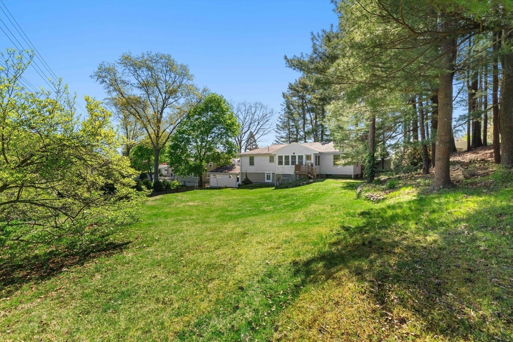 173 Fairfield Street Needham, MA 02492 - Photo 30 of 37