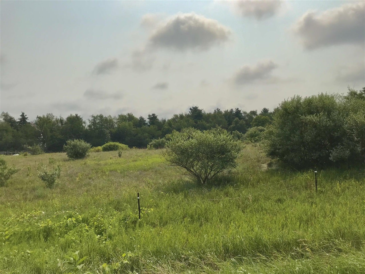 Lot H Buckhorn Road Three Rivers, MI 49093 - Photo 2 of 5 Gallery Image 2