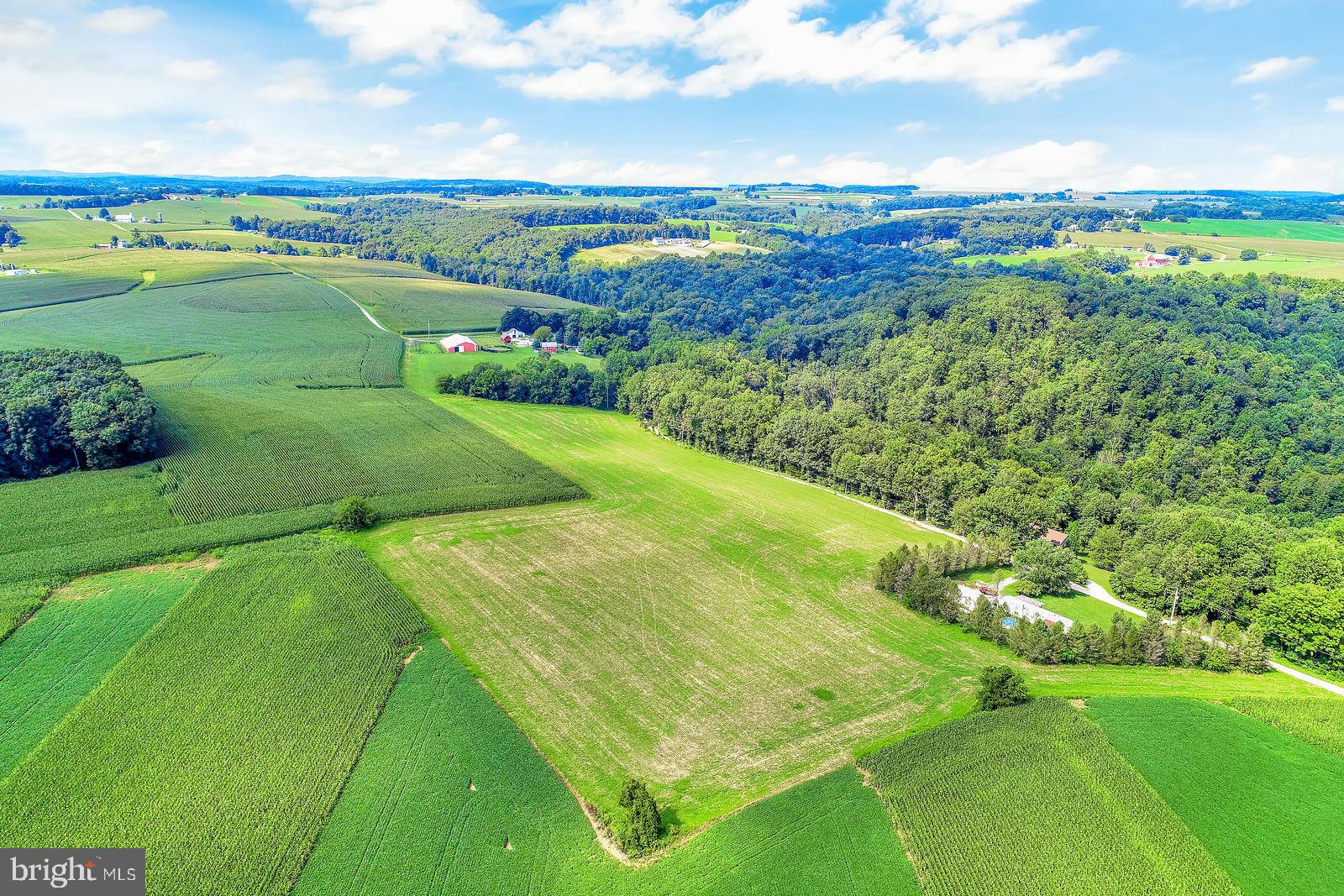 13335 Wise Road Brogue, PA 17309 - Photo 43 of 54