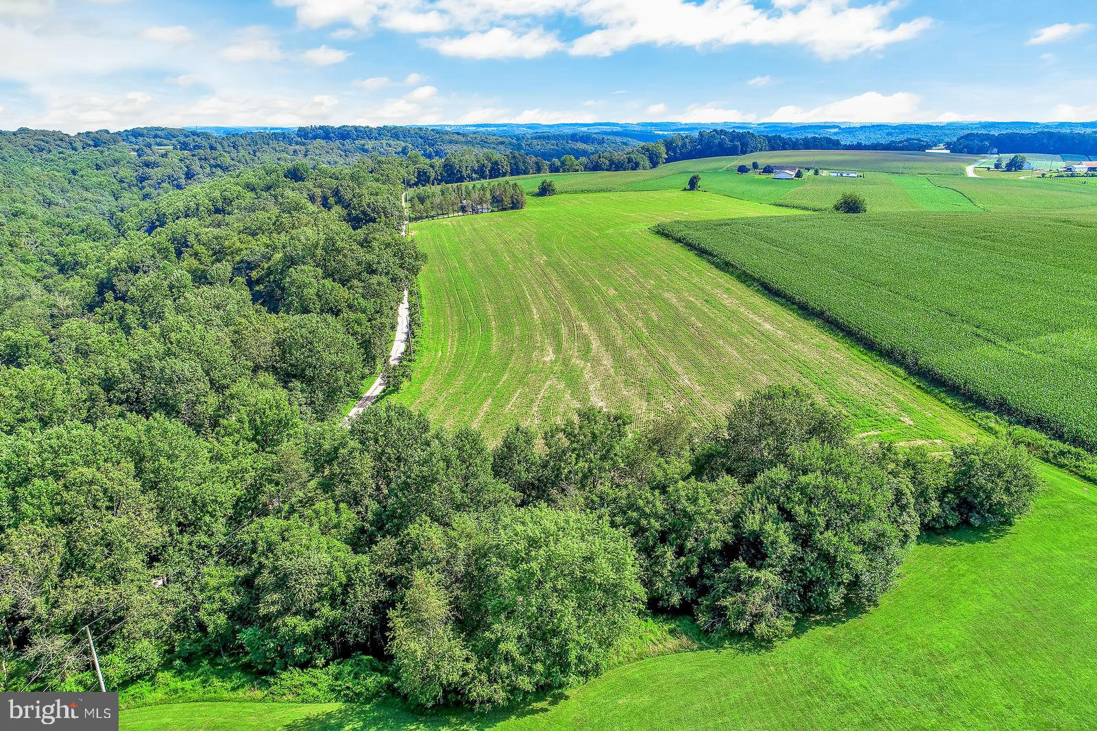 13335 Wise Road Brogue, PA 17309 - Photo 48 of 54
