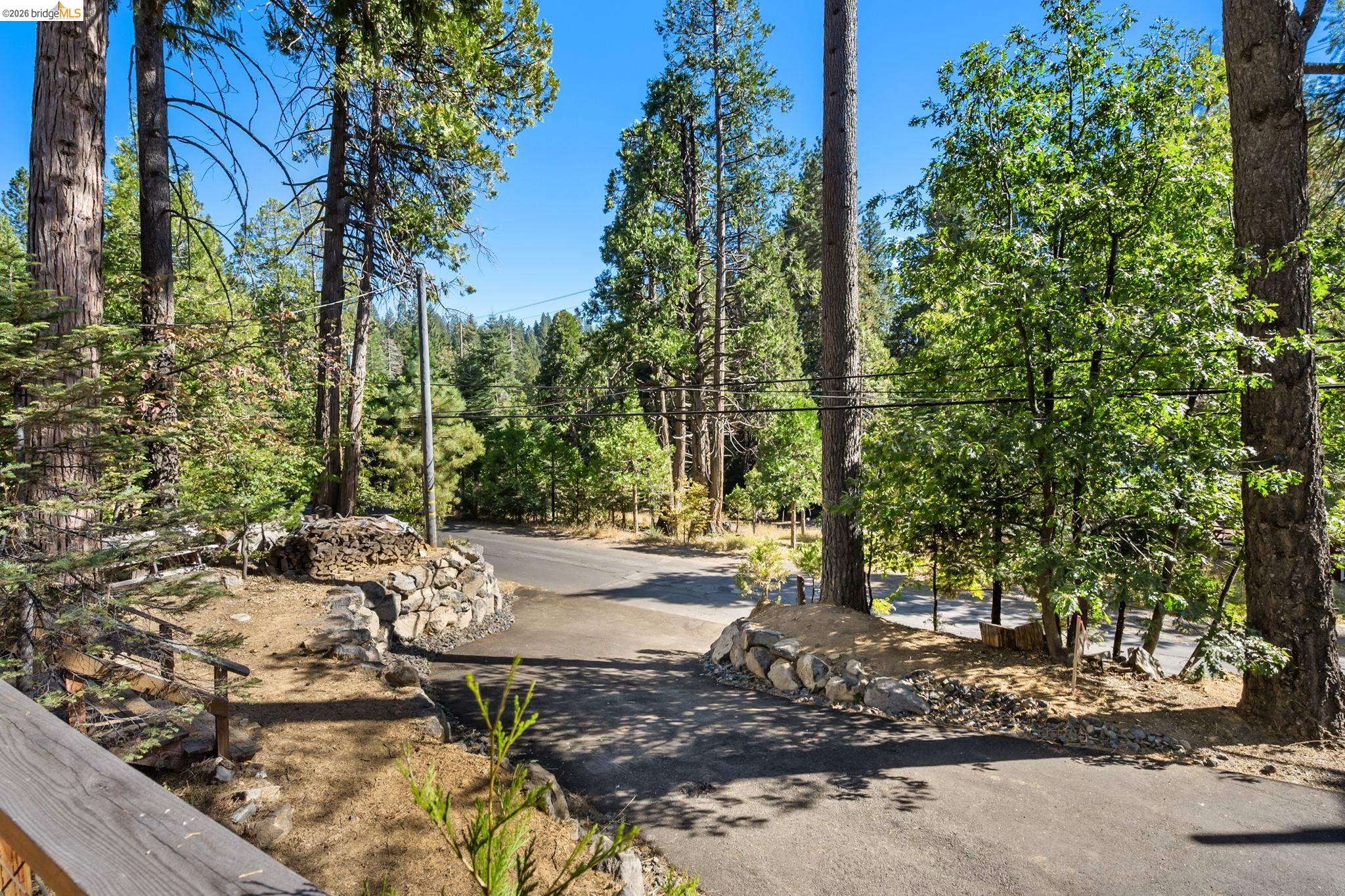25972 Long Barn Road Long Barn, CA 95335 - Photo 26 of 36 Paved driveway surrounded by mature trees and natural landscaping