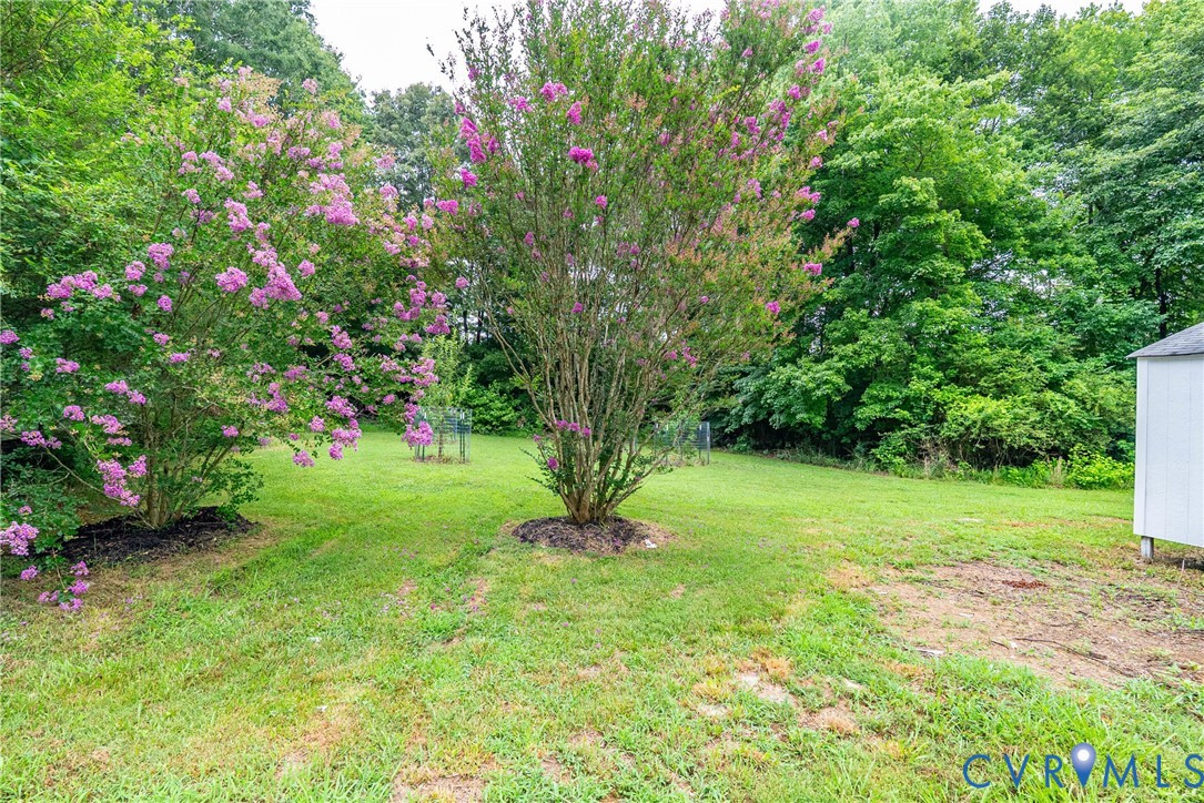 803 Germantown Road Farmville, VA 23901 - Photo 53 of 61 Landscaped backyard featuring flowering trees and