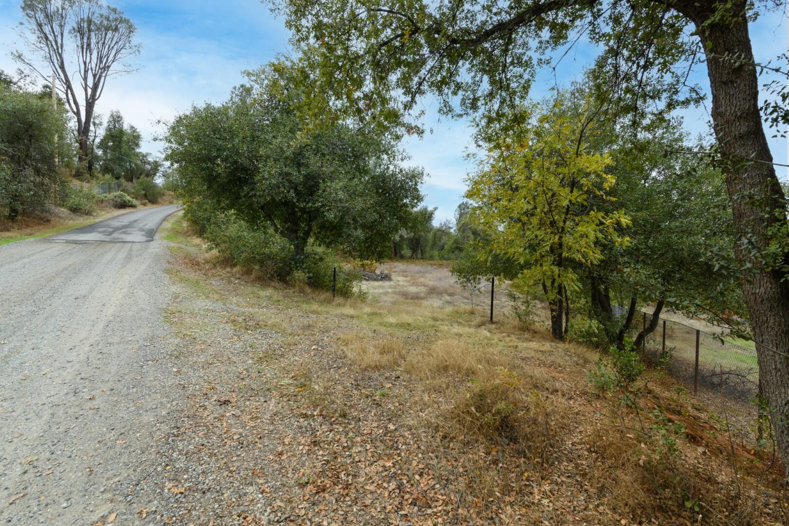 Tree Lane Anderson, CA 96007 - Photo 18 of 23 a view of a forest with trees in the background