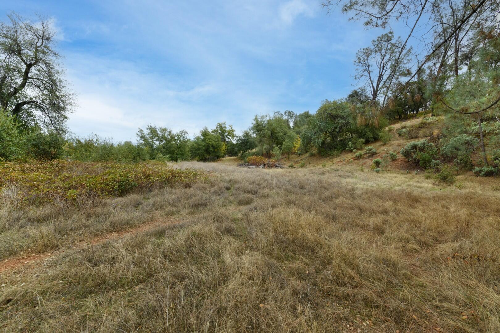 Tree Lane Anderson, CA 96007 - Photo 20 of 23 a view of a field with trees in background
