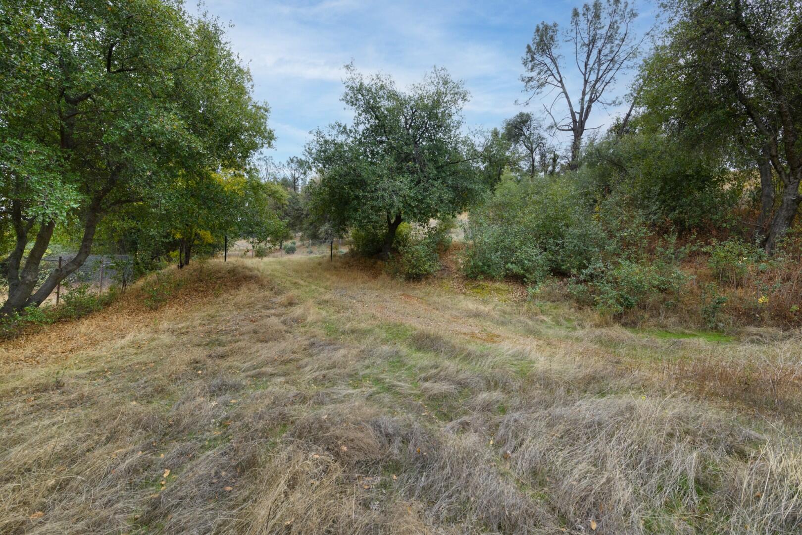 Tree Lane Anderson, CA 96007 - Photo 21 of 23 a big yard with lots of green space