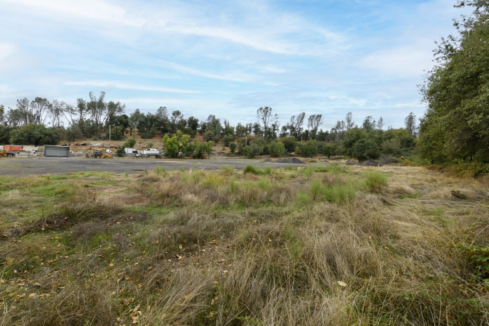 Tree Lane Anderson, CA 96007 - Photo 8 of 23 a view of a big yard with large trees