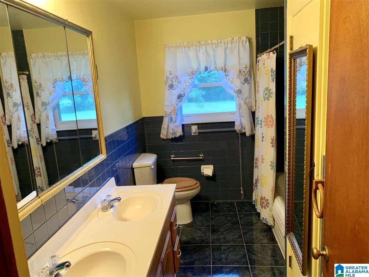 100 Boat Landing Road Oneonta, AL 35121 - Photo 14 of 20