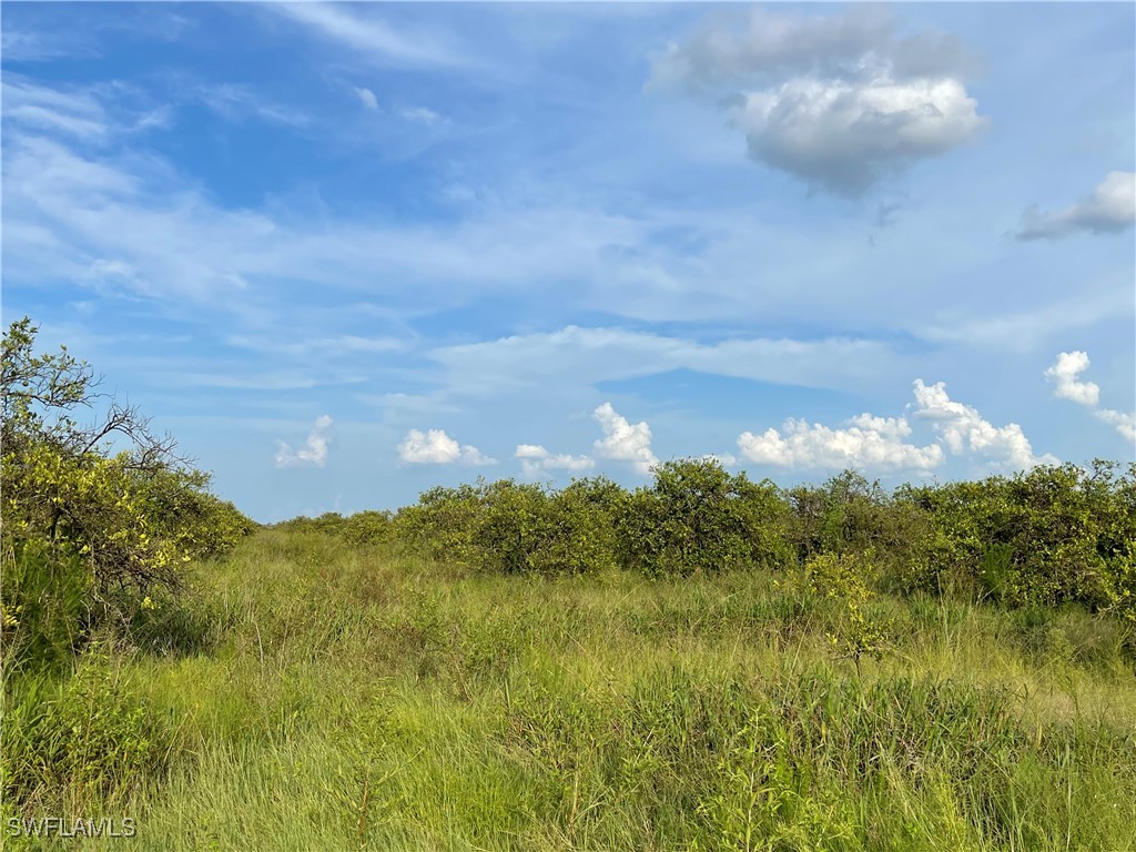 6395 7th Road LaBelle, FL 33935 - Photo 3 of 7