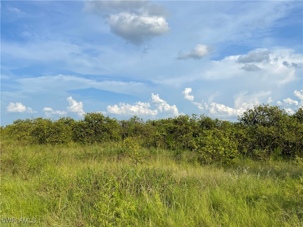 6395 7th Road LaBelle, FL 33935 - Photo 4 of 7 a view of a lake from a yard