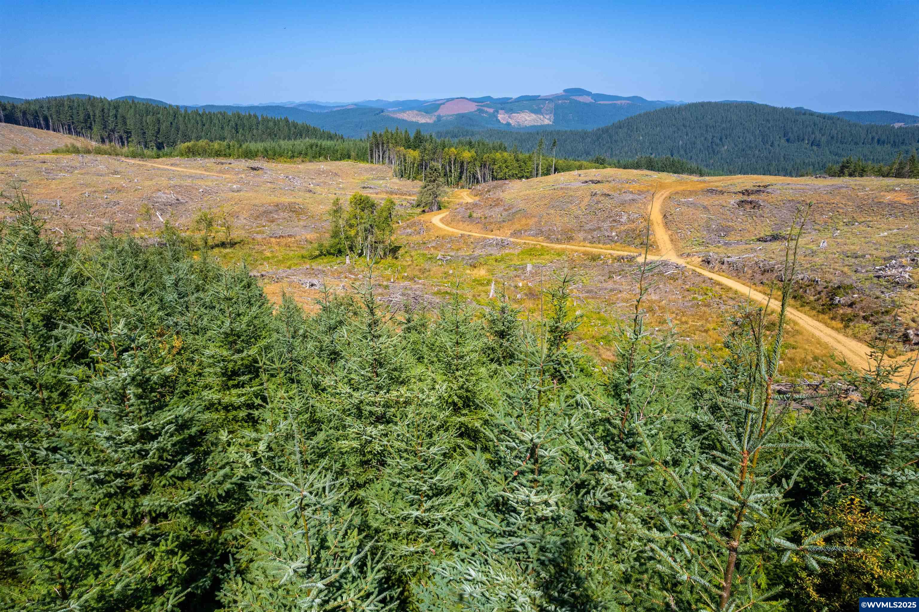 0 Bald Mountain Access Road Willamina, OR 97396 - Photo 16 of 30