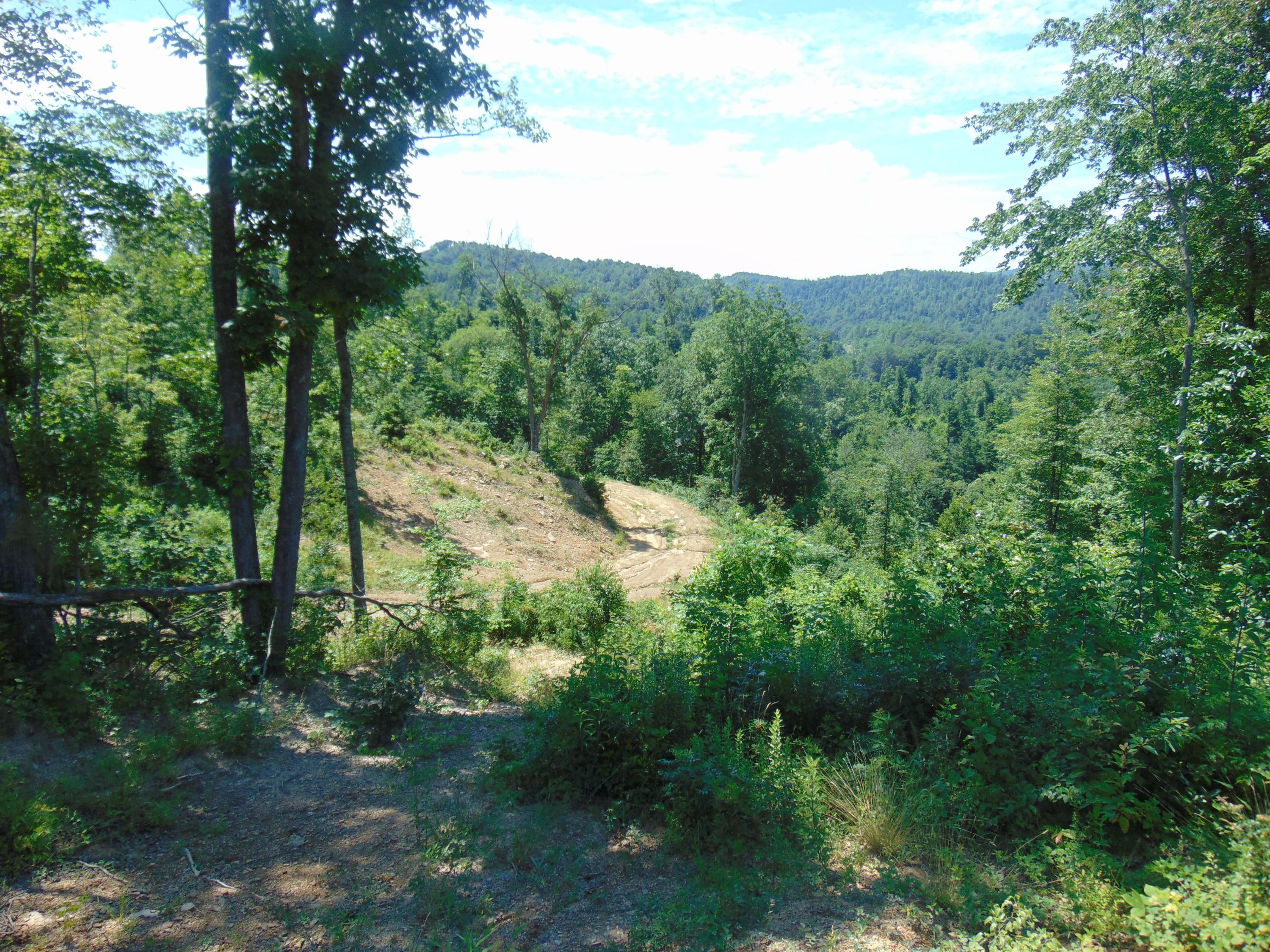 Sims Branch Rd Mount Mount Hope, WV 25880 - Photo 1 of 18 Gallery Image 1