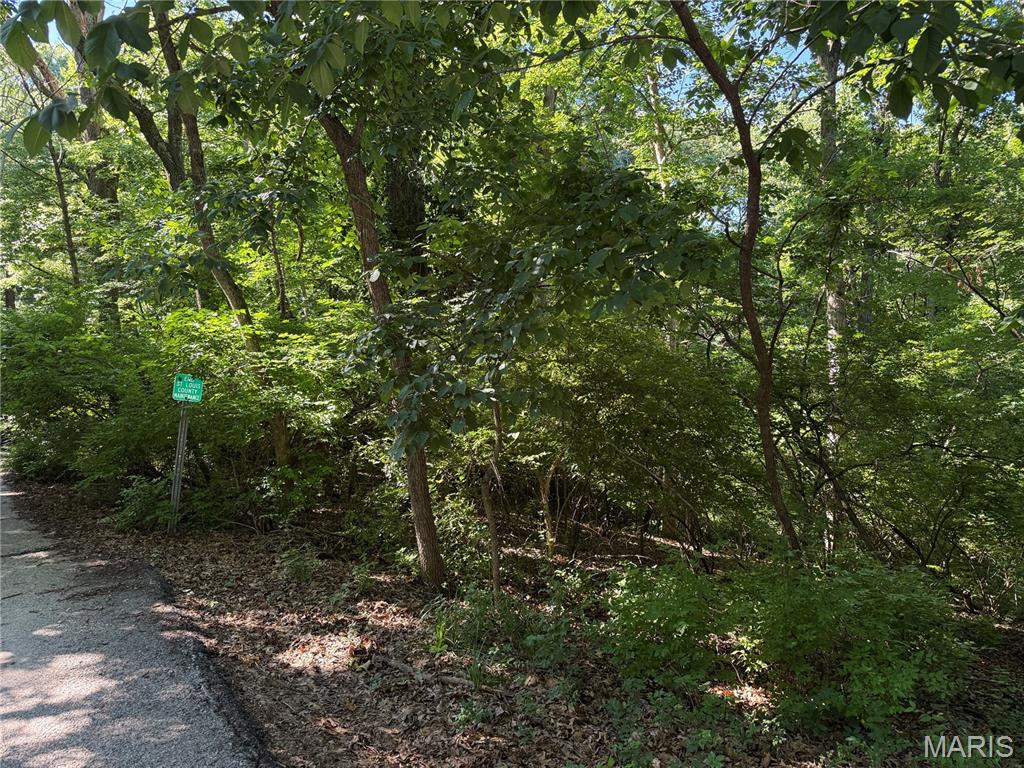 691 Castlecliff Road Ballwin, MO 63021 - Photo 4 of 4