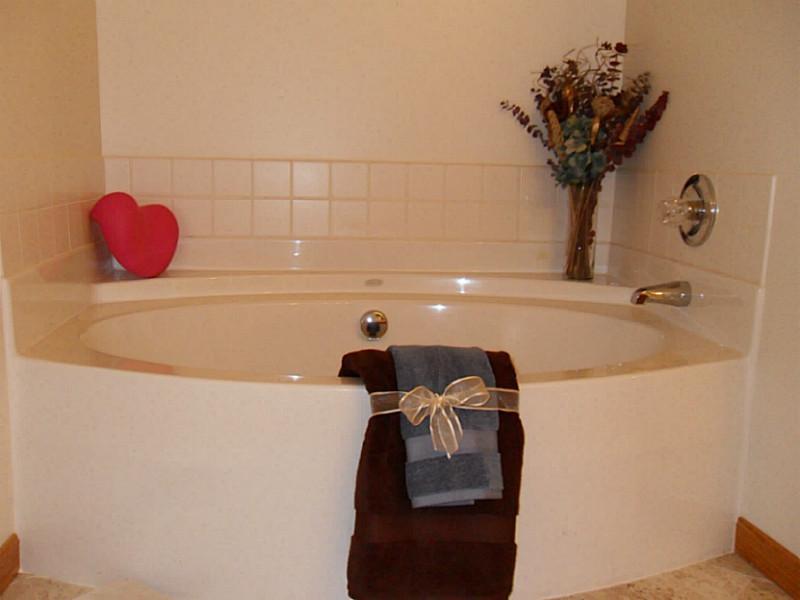 111 Old Forge Road Slippery Rock, PA 16057 - Photo 15 of 22 Master Bath/Spa. whirlpool tub