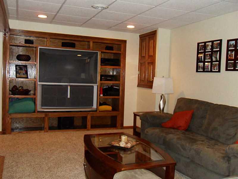 111 Old Forge Road Slippery Rock, PA 16057 - Photo 17 of 22 Family Room. beautiful built ins TV stays, great storage