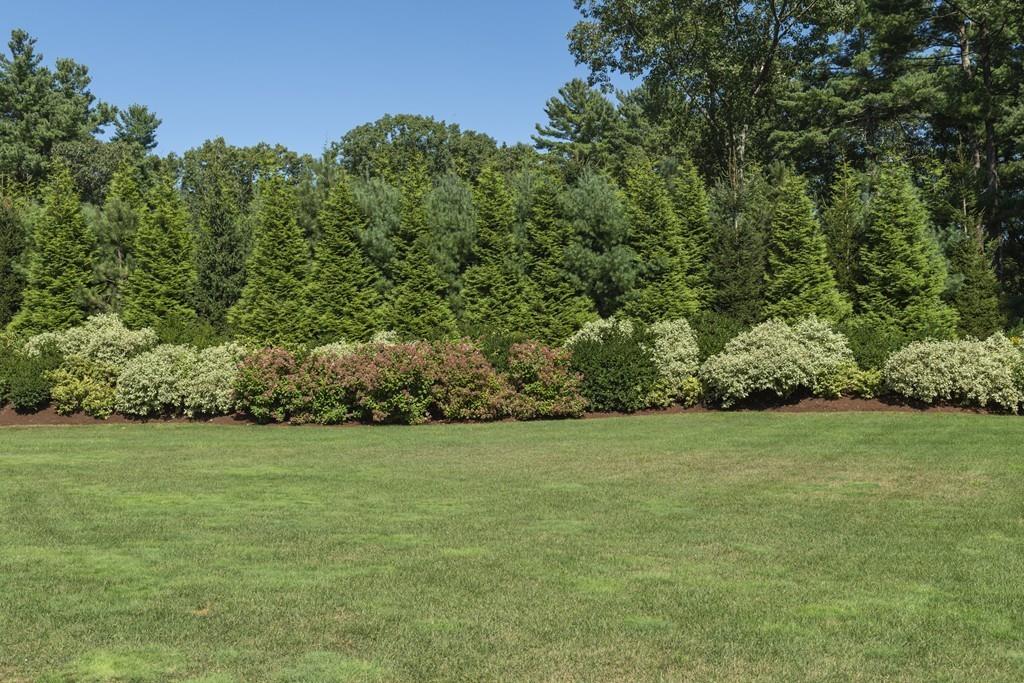 47 Wilsondale Street Dover, MA 02030 - Photo 23 of 24