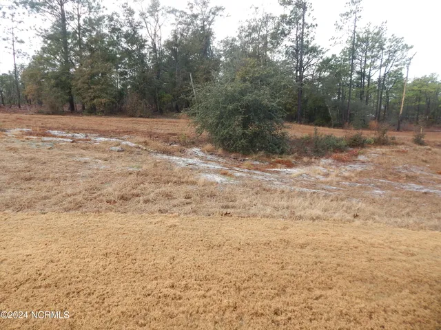 $2,550 | 533 Lyrebird Avenue, Wilmington, NC 28412