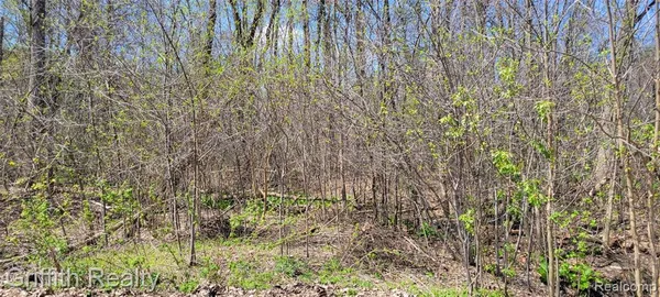 $675,000 | -vl Pady, Brighton, MI 48114