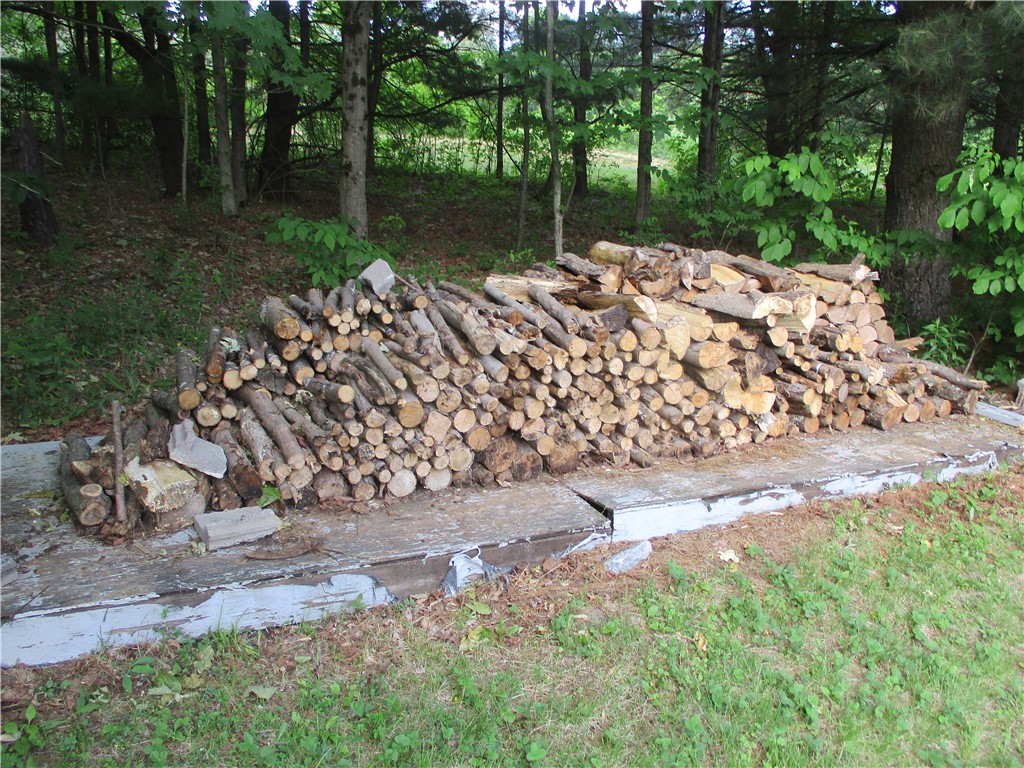 427 Rorick Hollow Road Erin, NY 14861 - Photo 7 of 45