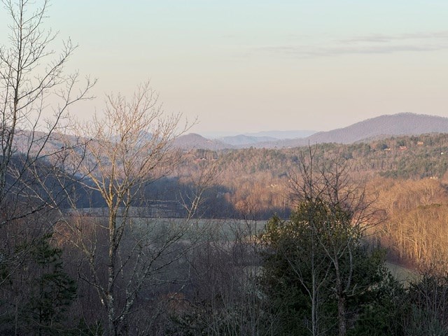 0 Tusquittee Road Hayesville, NC 28904 - Photo 5 of 8 Gallery Image 5