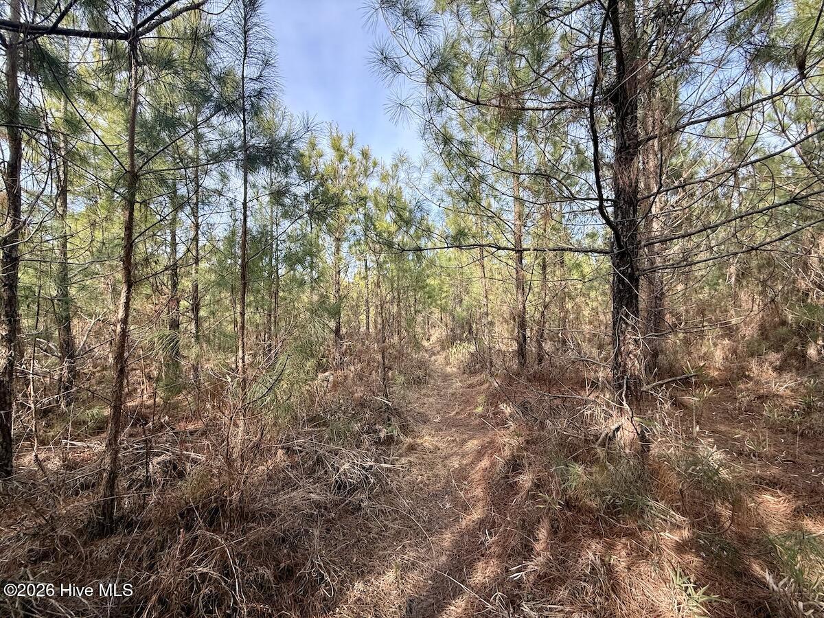 0 Old Washington Road Vanceboro, NC 28586 - Photo 24 of 34 24