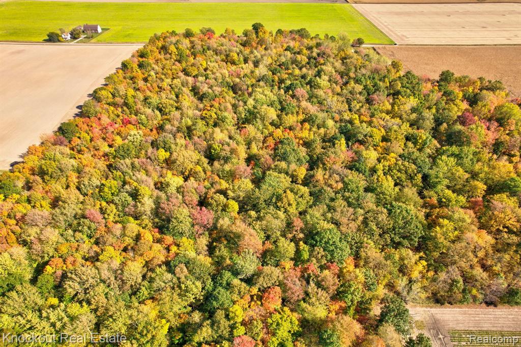 4000 South Reese Road Frankenmuth, MI 48734 - Photo 12 of 18