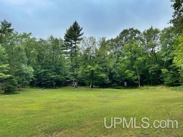 T-wi Wi 54156 Road Pembine, WI 54156 - Photo 7 of 20