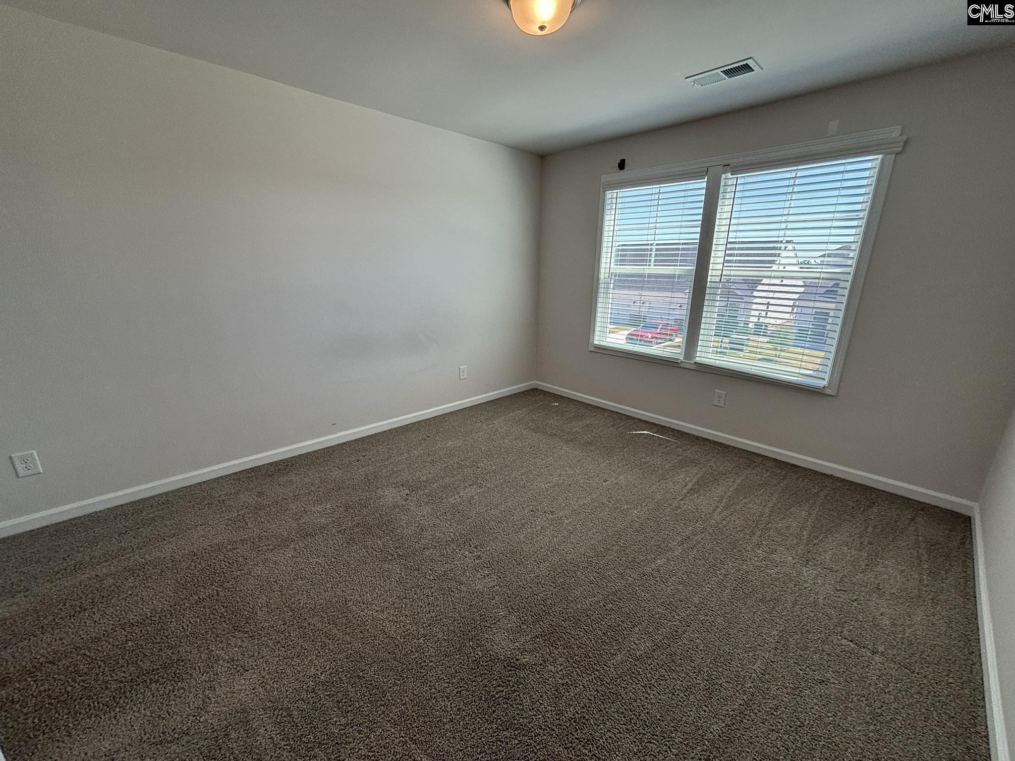 424 Lady Liberty Way Lexington, SC 29073 - Photo 12 of 21