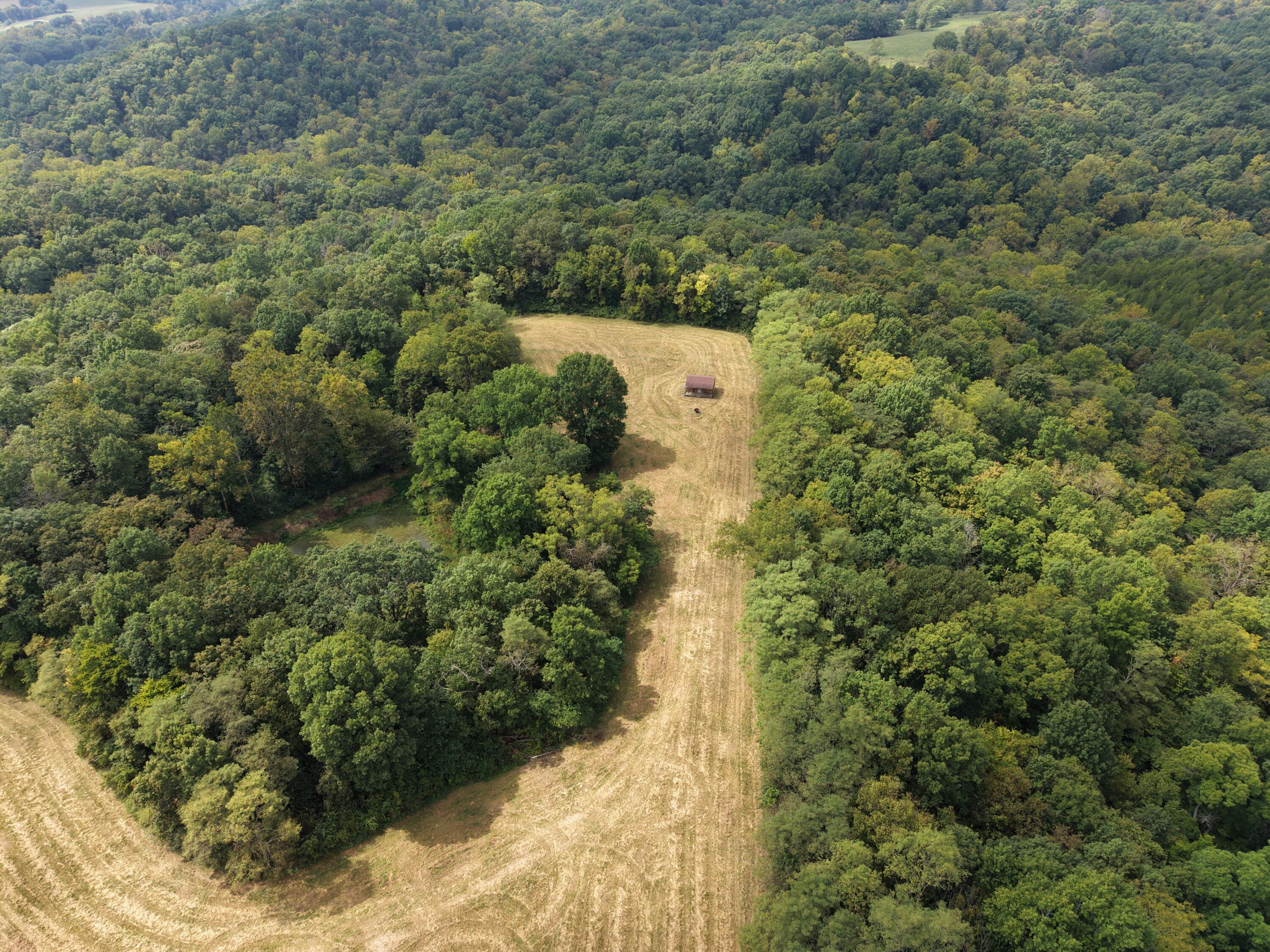 0 Micah's Ridge Sparta, KY 41086 - Photo 25 of 44 dji_fly_20260908_131010_0251_17888959049