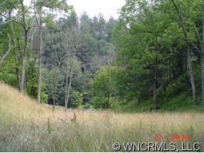0 Snowbird Road Marshall, NC 28753 - Photo 12 of 12 Gallery Image 12