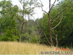 0 Snowbird Road Marshall, NC 28753 - Photo 8 of 12 Gallery Image 8