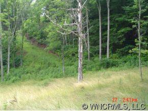 0 Snowbird Road Marshall, NC 28753 - Photo 10 of 12 Gallery Image 10