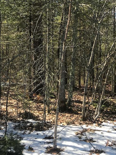 0 Brimstone Road Arundel, ME 04046 - Photo 3 of 5 brimstone 5