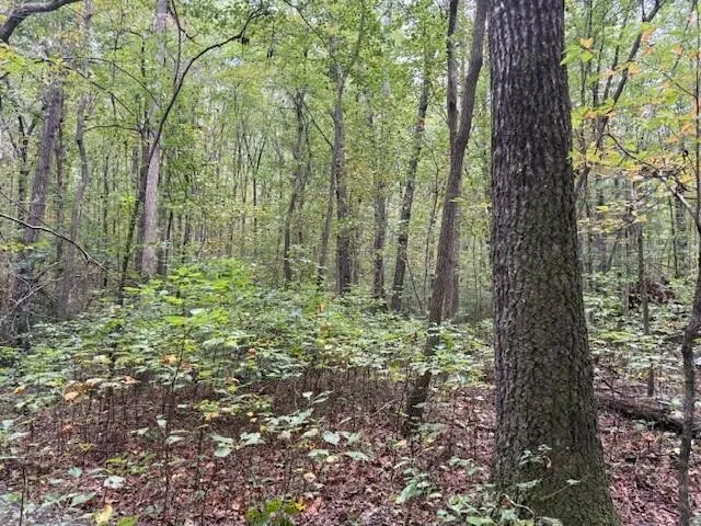 $58,000 | Lot 2 Tipple Road, Unit 2, Tracy City, TN 37387