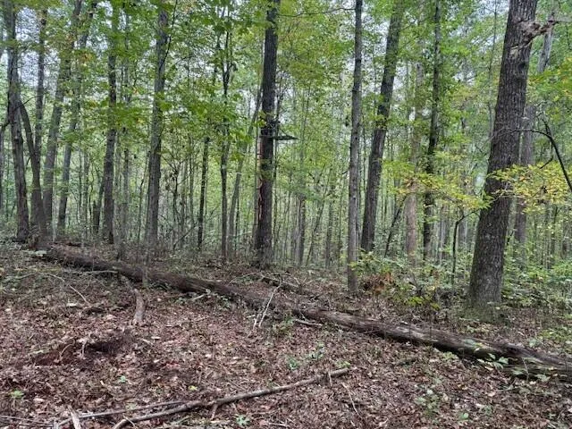 $58,000 | Lot 2 Tipple Road, Unit 2, Tracy City, TN 37387