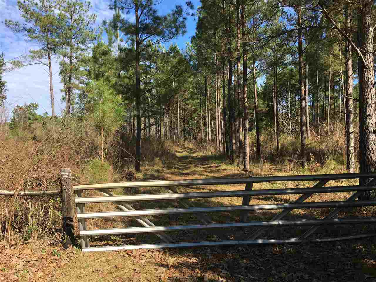 1288 B Robinson Road Canton, MS 39046 - Photo 1 of 20 Photo 1