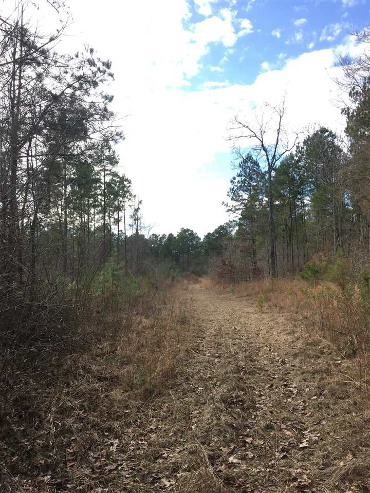1288 B Robinson Road Canton, MS 39046 - Photo 11 of 20 Photo 11