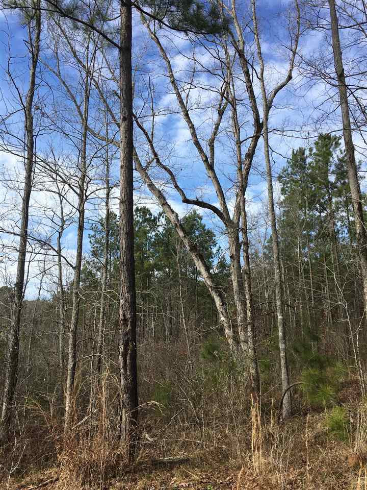 1288 B Robinson Road Canton, MS 39046 - Photo 13 of 20 Photo 13