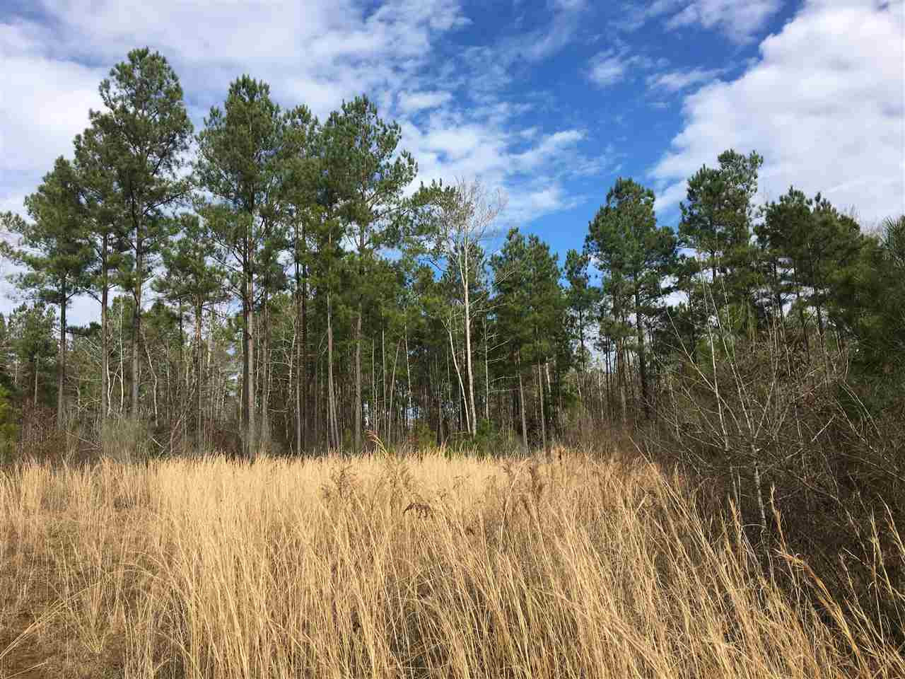 1288 B Robinson Road Canton, MS 39046 - Photo 14 of 20 Photo 14