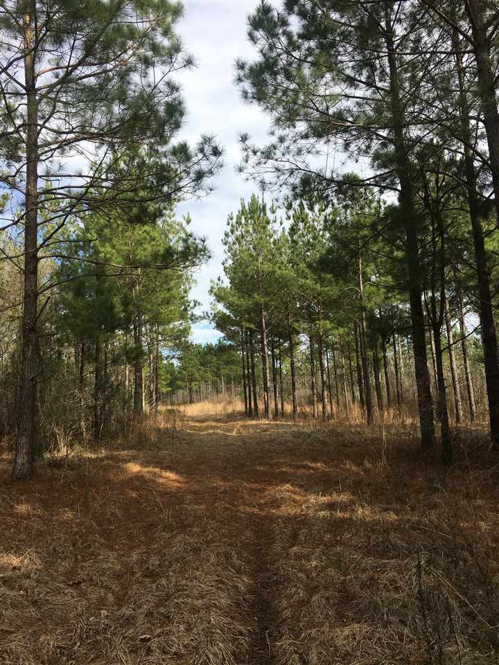 1288 B Robinson Road Canton, MS 39046 - Photo 17 of 20 Photo 17