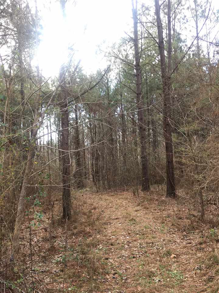 1288 B Robinson Road Canton, MS 39046 - Photo 19 of 20 Photo 19