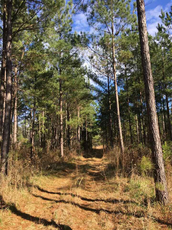 1288 B Robinson Road Canton, MS 39046 - Photo 3 of 20 Photo 3