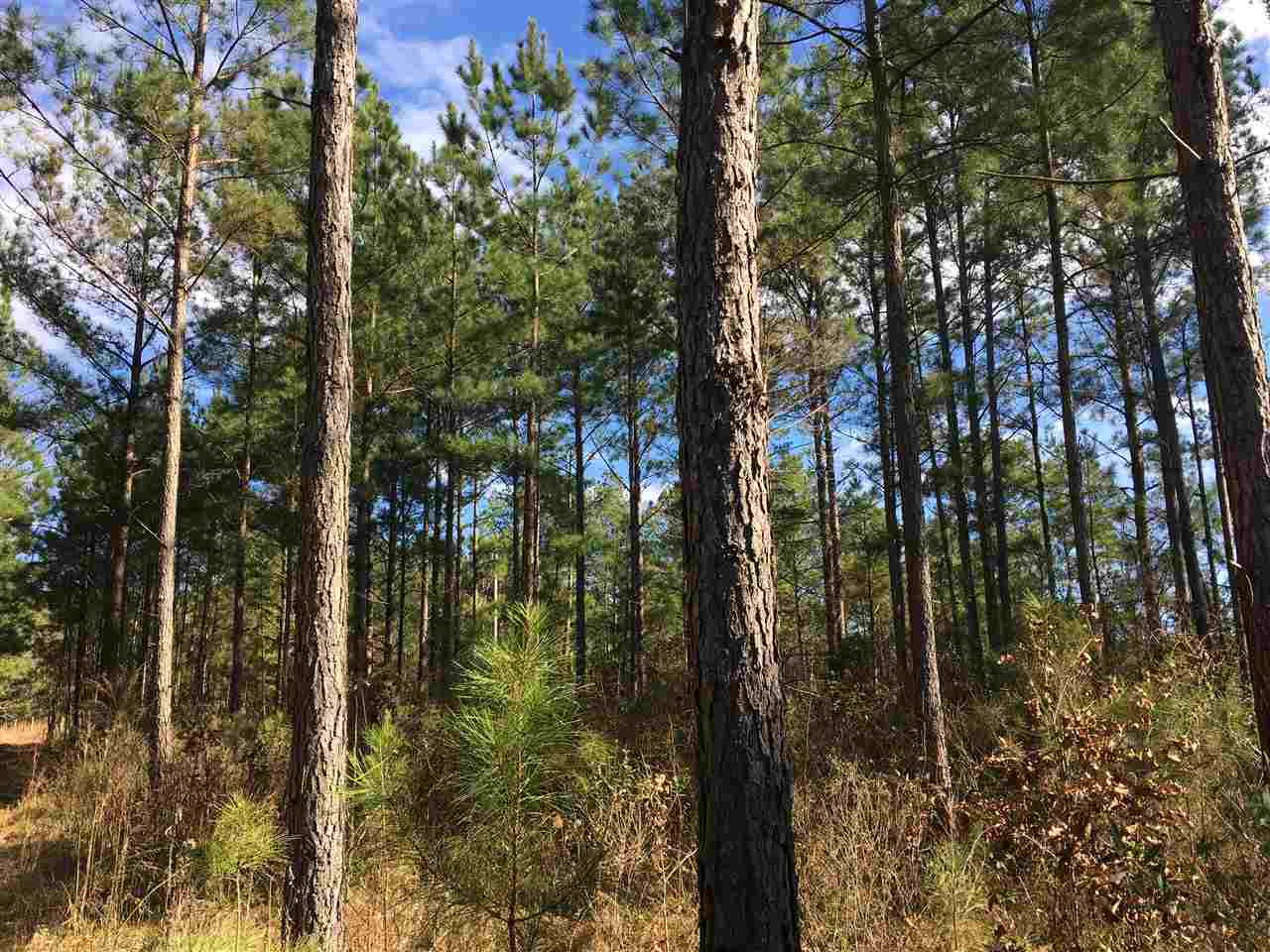 1288 B Robinson Road Canton, MS 39046 - Photo 4 of 20 Photo 4