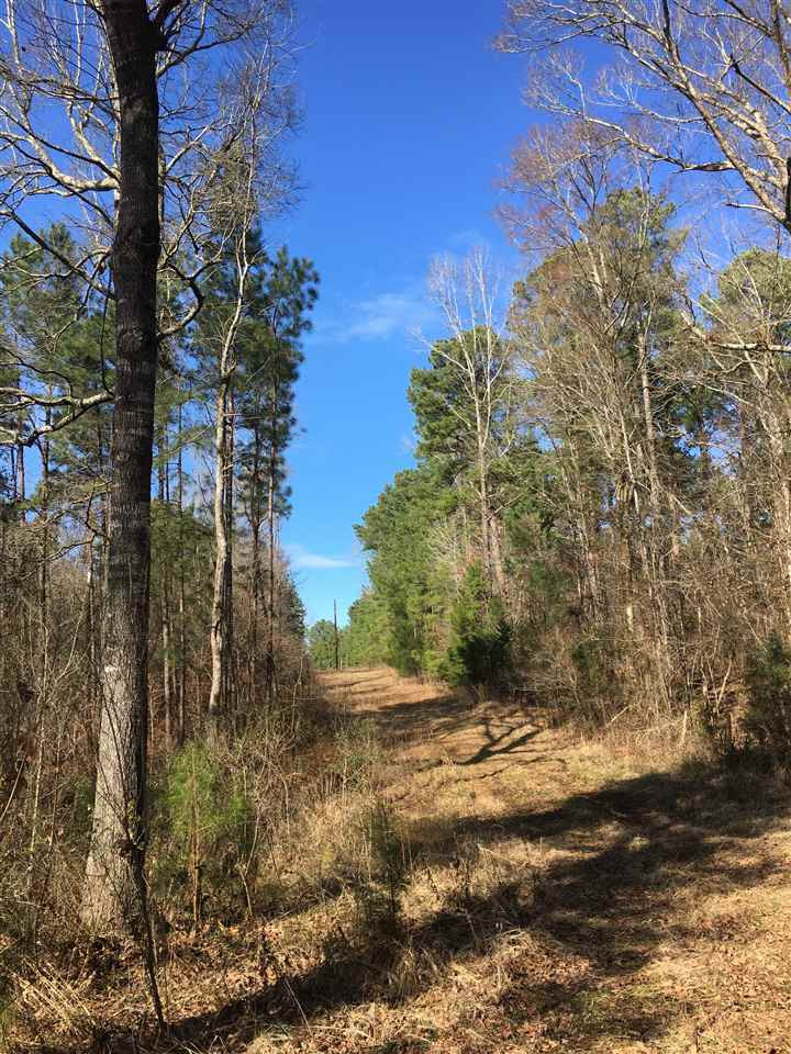 1288 B Robinson Road Canton, MS 39046 - Photo 6 of 20 Photo 6