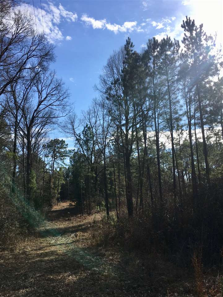 1288 B Robinson Road Canton, MS 39046 - Photo 7 of 20 Photo 7