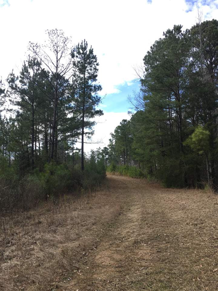 1288 B Robinson Road Canton, MS 39046 - Photo 9 of 20 Photo 9